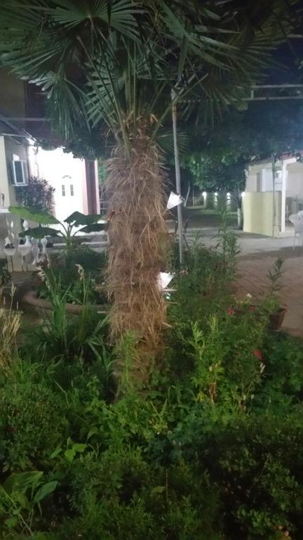 Apartments Ana Dojran Ngoại thất bức ảnh